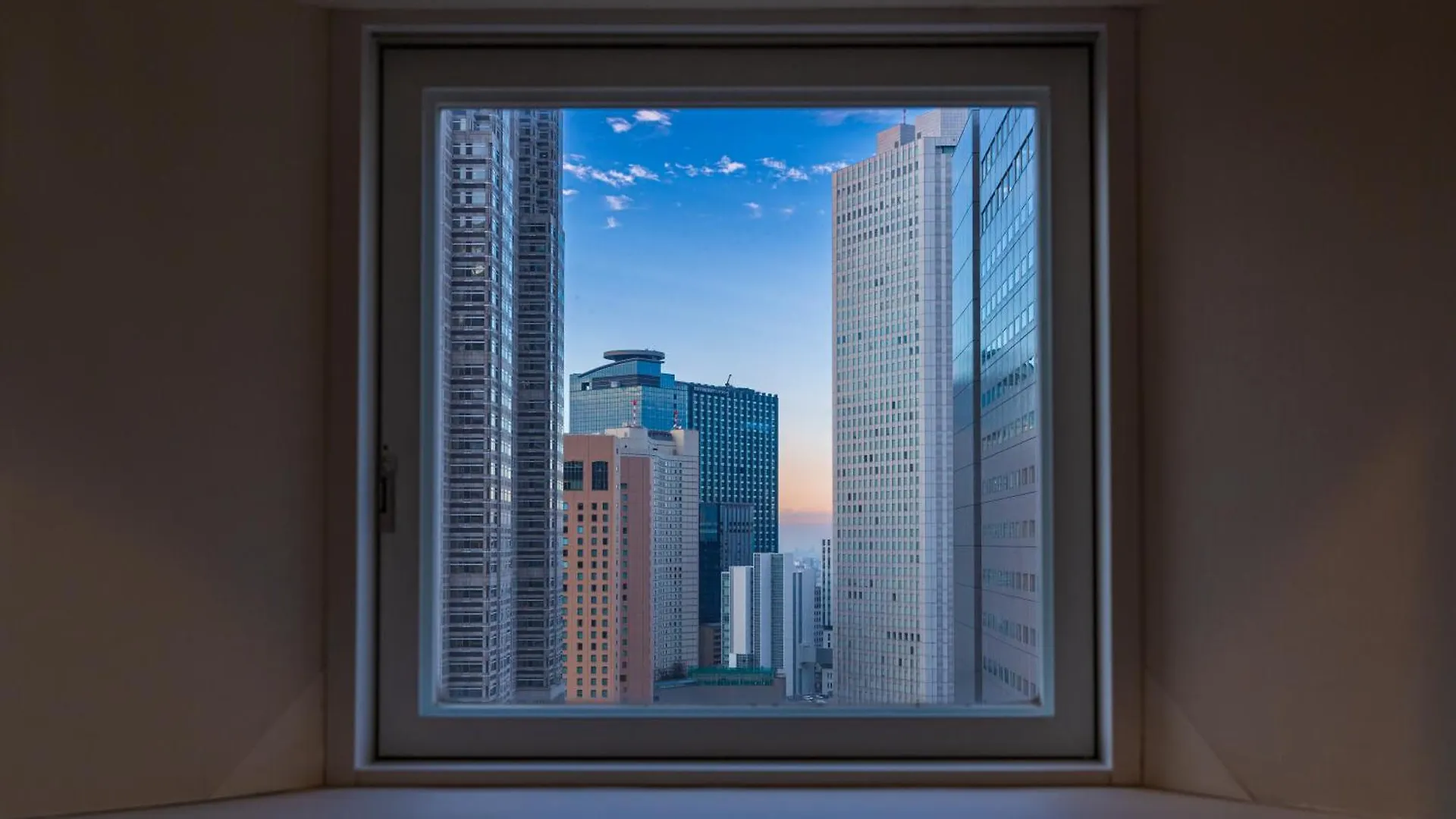 Shinjuku Washington Hotel Tokio 4*,
